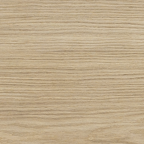 Дуб медовый